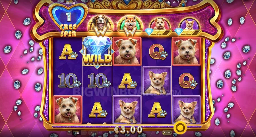 Новый игровой автомат с быстрым выводом денег - Diamond Doggies Новый игровой автомат с быстрым выводом денег - Diamond Doggies